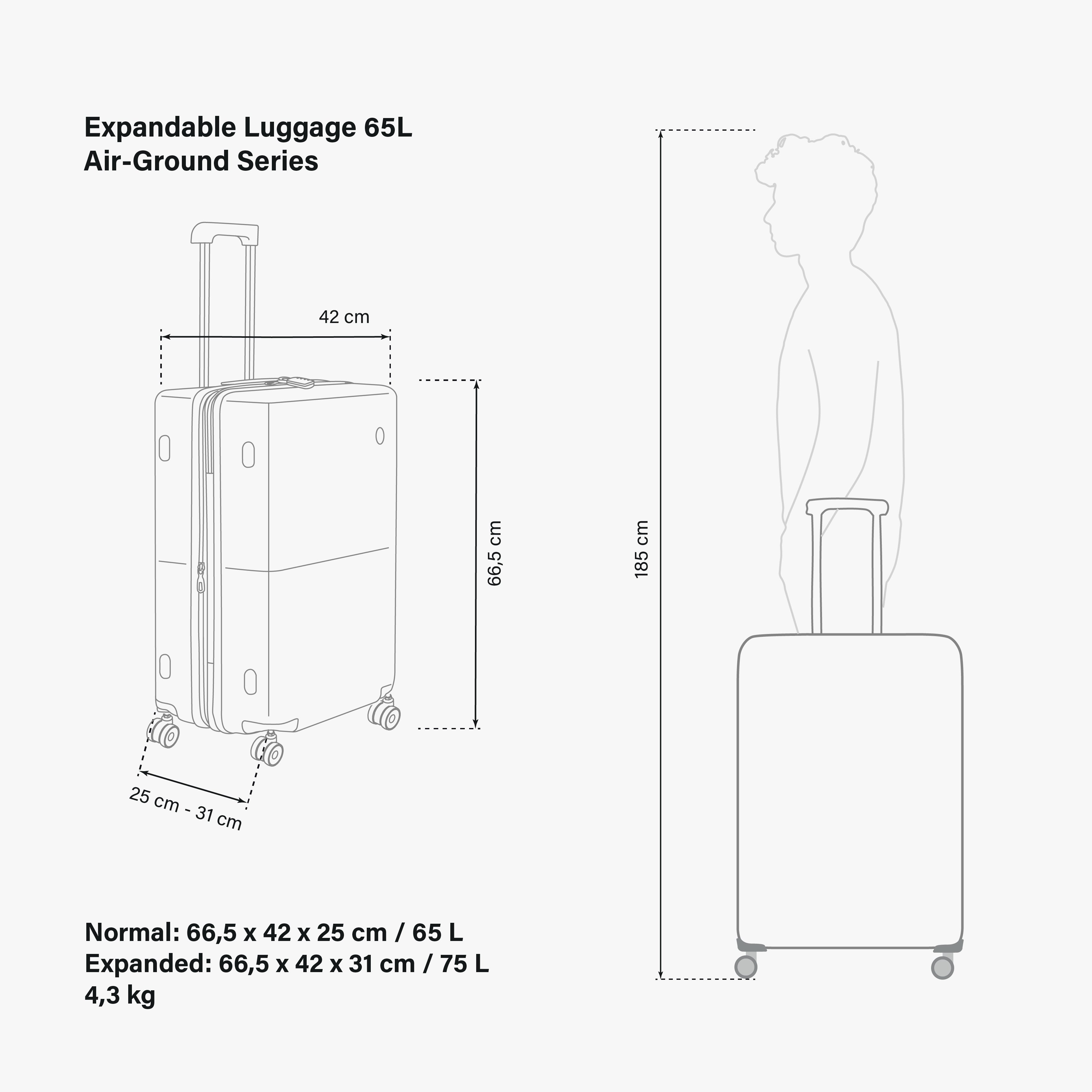 LUGGAGE 65L AIR-GROUND