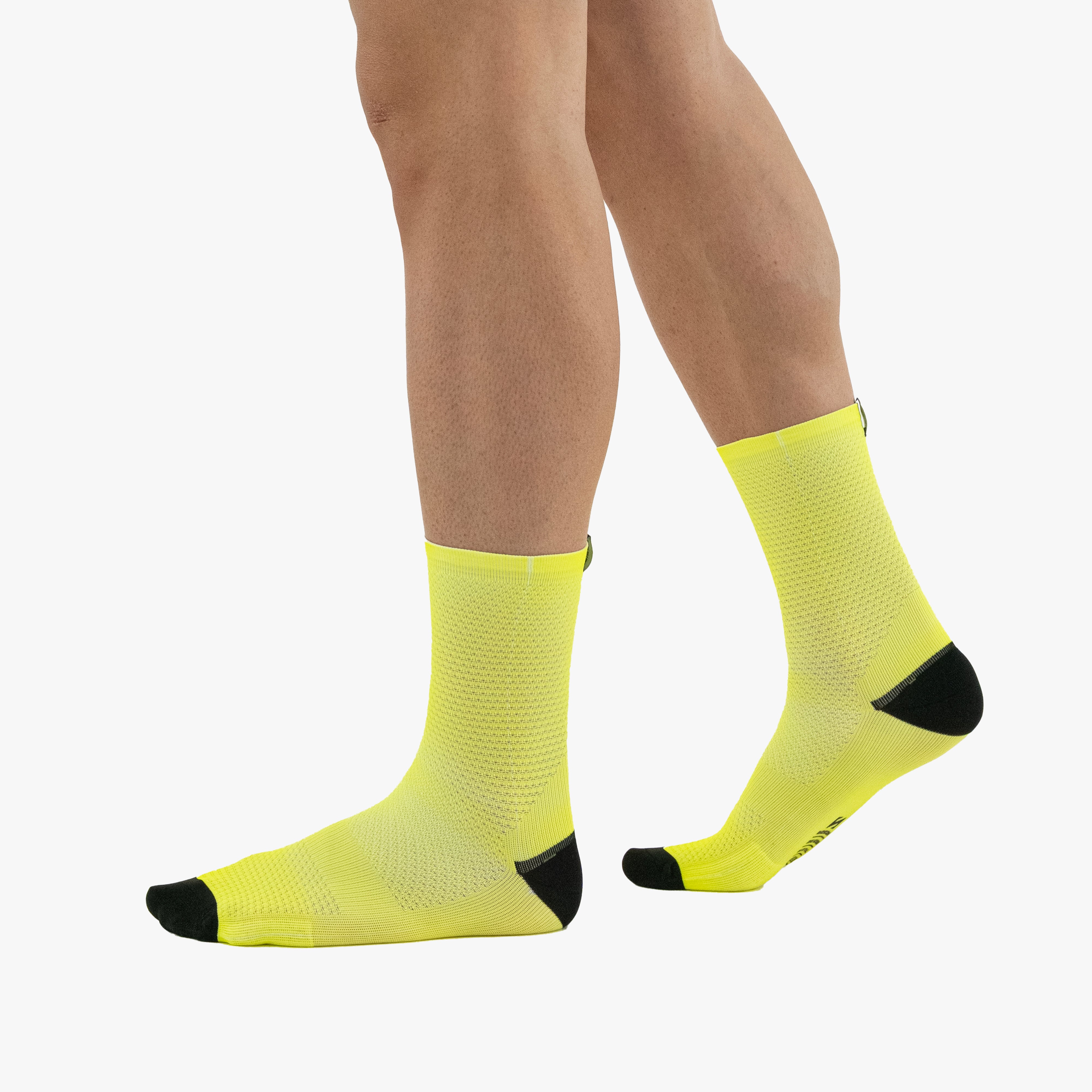 SCICON PERFORMANCE SOCKS 209
