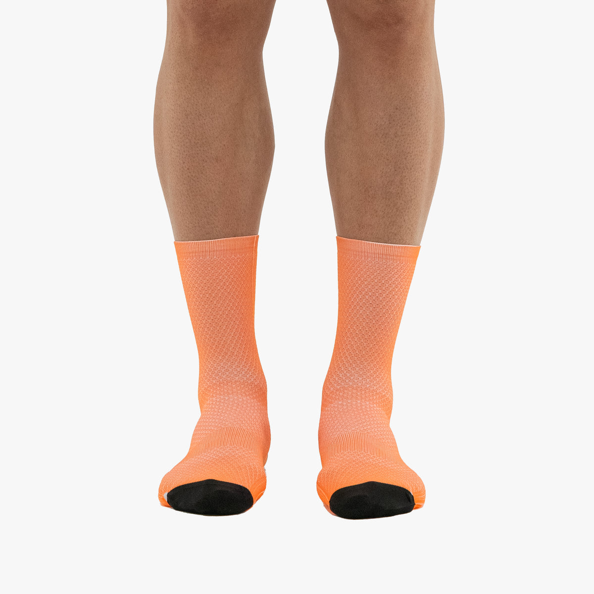 SOCKS211